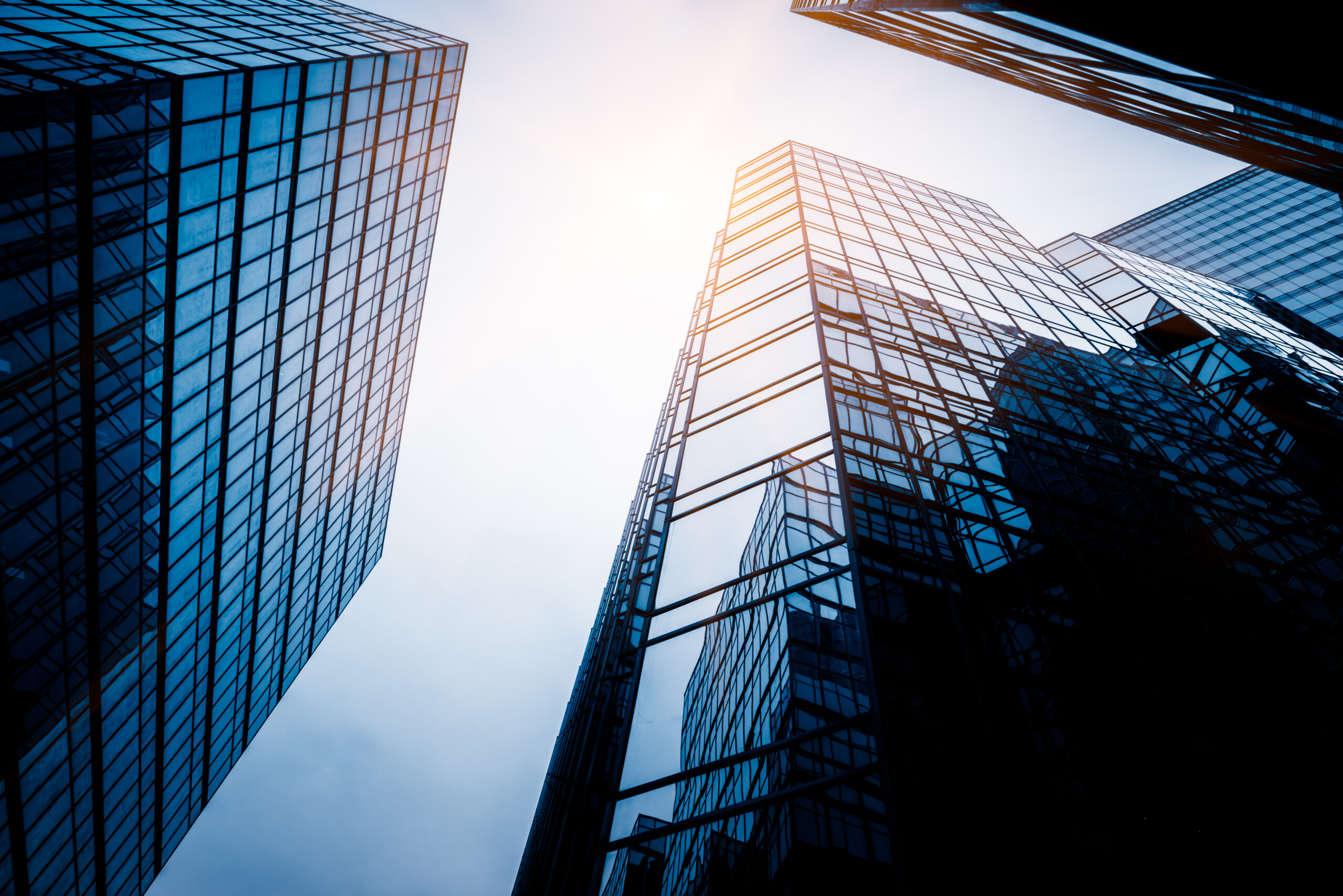 New Digital Finance | Admin